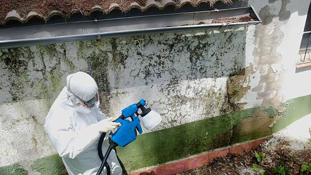 Top rated local Commercial Mold Remediation specialists in Barnesville, MD